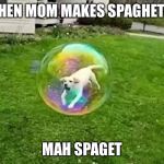 Bubble doggo | WHEN MOM MAKES SPAGHETTI; MAH SPAGET | image tagged in bubble doggo | made w/ Imgflip meme maker