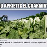 Where's Senor Whipple when you need him ? | "NO APRIETES EL CHARMIN"... | image tagged in ecoli | made w/ Imgflip meme maker