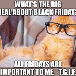 Smart cat | WHAT'S THE BIG DEAL ABOUT BLACK FRIDAY? ALL FRIDAYS ARE IMPORTANT TO ME.   T.G.I.F. | image tagged in smart cat | made w/ Imgflip meme maker