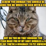 SNOT CAT | SCREW YOU HUMAN! YOU SHOULD BE CARING FOR ME WHEN I'M SICK WITH A COLD; BUT DO YOU DO THAT NOOOOO! YOU INSTEAD MAKE FUN OF MY SNOT BUBBLES & CALL ME FAT. YOU'RE A DISGRACE TO PET OWNERS! | image tagged in snot cat | made w/ Imgflip meme maker