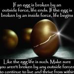 Egg Inside Outside Force Of Life meme