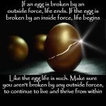 Egg Inside Outside Force Of Life | image tagged in egg inside outside force of life | made w/ Imgflip meme maker