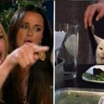Woman Yelling At Cat Orgasim Swallow meme