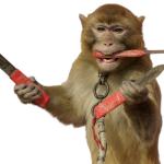 monkey with knives