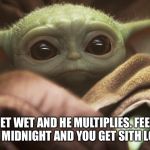 Baby Yoda Gremlin | GET WET AND HE MULTIPLIES. FEED AFTER MIDNIGHT AND YOU GET SITH LORDS. | image tagged in baby yoda gremlin | made w/ Imgflip meme maker