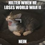Angry Kitten | HILTER WHEN HE LOSES WORLD WAR II; NEIN | image tagged in angry kitten | made w/ Imgflip meme maker