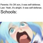 WTF Schools?! | Kid: (punches someone because they tried to punch him); Parents: It's OK son, it was self-defense. Law: Yeah, it's alright. It was self-defense. Schools: | image tagged in aqua screaming,memes,schools,self defense | made w/ Imgflip meme maker