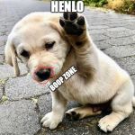 Henlo doggo | HENLO; BOOP ZONE | image tagged in henlo doggo | made w/ Imgflip meme maker