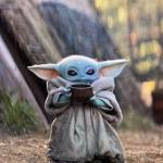 Judging Baby Yoda