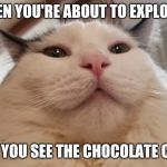 Pixelated 2 | WHEN YOU'RE ABOUT TO EXPLODE... BUT YOU SEE THE CHOCOLATE CAKE | image tagged in pixelated 2 | made w/ Imgflip meme maker