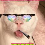 STONER CAT | NO HUMAN NO I HAVEN'T BEEN SMOKING YOUR WEED! WHY WOULD YOU THINK THAT? | image tagged in stoner cat | made w/ Imgflip meme maker