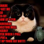 RECTAL GRENADE | YOU SEE THIS GRENADE HUMAN? GET ME BACK MAH TESTICLES BY TOMORROW AT 6 P.M. OR THIS GRENADE & YOUR RECTUM WILL HAVE A DEADLY ENCOUNTER WHEN I PULL OUT THE PIN & SHOVE IT UP YOUR FAT BUTT! | image tagged in rectal grenade | made w/ Imgflip meme maker