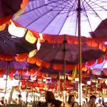 Umbrellas on the Beach