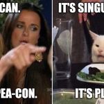 Woman Pointing at Cat | IT'S PEA-CAN.                  IT'S SINGULAR; IT'S PEA-CON.                  IT'S PLURAL | image tagged in woman pointing at cat | made w/ Imgflip meme maker