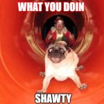 Dog Slide | WHAT YOU DOIN; SHAWTY | image tagged in dog slide | made w/ Imgflip meme maker