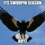 maggie magpie | ITS SWOOPIN SEASON; BOYZ | image tagged in maggie magpie | made w/ Imgflip meme maker