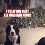 Dog Christmas Tree | I TOLD YOU THAT ELF WAS BAD NEWS | image tagged in dog christmas tree | made w/ Imgflip meme maker