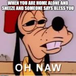 oh nawwww | WHEN YOU ARE HOME ALONE AND SNEEZE AND SOMEONE SAYS BLESS YOU | image tagged in goofy,lol,relatable,true,disney,funny | made w/ Imgflip meme maker