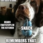 "What was that?"dog | ME: GETS SNACK OUT OF KITCHEN THEN GOES BACK TO ROOM; HEARS FOOTSTEPS IN THE KITCHEN; SNACK; REMEMBERS THAT I'M HOME ALONE | image tagged in what was thatdog | made w/ Imgflip meme maker
