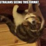 A2001 | AUSTRALIANS SEEING THIS FORMAT | image tagged in confused cat | made w/ Imgflip meme maker