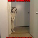 Scared standing dog | ME WHEN I HEAR SOMEONE; PLAYING THE DIARY OF JANE IN THE ROOM NEXT TO ME | image tagged in scared standing dog | made w/ Imgflip meme maker