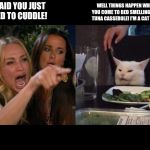 Crying lady and cat | YOU SAID YOU JUST WANTED TO CUDDLE! WELL THINGS HAPPEN WHEN YOU COME TO BED SMELLING LIKE TUNA CASSEROLE! I'M A CAT HOE! | image tagged in crying lady and cat | made w/ Imgflip meme maker