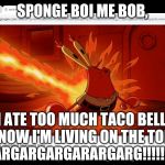 Eat Tacos With Caution | SPONGE BOI ME BOB, I ATE TOO MUCH TACO BELL AND NOW I'M LIVING ON THE TOILET!
ARGARGARGARARGARG!!!!!! | image tagged in mr krabs' ass on fire | made w/ Imgflip meme maker