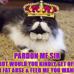 BRITISH CAT | PARDON ME SIR; BUT WOULD YOU KINDLY GET OFF YOUR FAT ARSE & FEED ME YOU WANKER? | image tagged in british cat | made w/ Imgflip meme maker