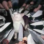 smug cat surrounded by knives