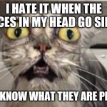 Crazy Cat | I HATE IT WHEN THE VOICES IN MY HEAD GO SILENT; I NEVER KNOW WHAT THEY ARE PLANNING | image tagged in crazy cat | made w/ Imgflip meme maker