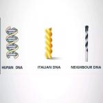 Romanian DNA