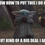 Baby yoda cup | KNOW HOW TO PUT THIS I DO NOT BUT KIND OF A BIG DEAL I AM | image tagged in baby yoda cup | made w/ Imgflip meme maker