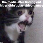 Crying Cat | the media after finding out hitler didn't play video games | image tagged in crying cat | made w/ Imgflip meme maker