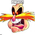 PINGAS!! | PINGAS!! | image tagged in memes,pingas | made w/ Imgflip meme maker