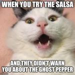 Bigger than you thought | WHEN YOU TRY THE SALSA; AND THEY DIDN'T WARN YOU ABOUT THE GHOST PEPPER | image tagged in bigger than you thought | made w/ Imgflip meme maker