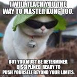 Funny animals | I WILL TEACH YOU THE WAY TO MASTER KUNG FOO. BUT YOU MUST BE DETERMINED, DISCIPLINED, READY TO PUSH YOURSELF BEYOND YOUR LIMITS. | image tagged in funny animals | made w/ Imgflip meme maker