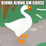 hjonk hjonk am goose | HJONK HJONK AM GOOSE | image tagged in hjonk hjonk am goose | made w/ Imgflip meme maker