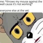 The vet meme