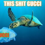 turle eating platstic | THIS SHIT GUCCI; GUCCI | image tagged in turle eating platstic | made w/ Imgflip meme maker