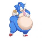 fat sonic | image tagged in fat sonic | made w/ Imgflip meme maker