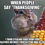 Thanksgiving Squirrel | WHEN PEOPLE SAY "THANKSGIVING"; I THINK STEALING FOOD FROM YOUR RELATIVES WITHOUT THEM GETTING MAD AT YOU. | image tagged in thanksgiving squirrel | made w/ Imgflip meme maker