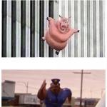 pig cop