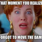 Home Alone We Forgot Kevin | THAT MOMENT YOU REALIZE; YOU FORGOT TO MOVE THE DAMN ELF | image tagged in home alone we forgot kevin | made w/ Imgflip meme maker