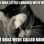 It was a huge fight. | WHEN I WAS LITTLE I ARGUED WITH MY MOM; THAT BRAS WERE CALLED BOOBIES. | image tagged in facepalm cat,bra,boobies | made w/ Imgflip meme maker