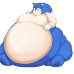 fat sonic 2 | image tagged in fat sonic 2 | made w/ Imgflip meme maker