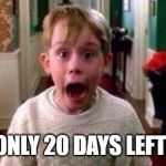 Christmas | ONLY 20 DAYS LEFT! | image tagged in christmas | made w/ Imgflip meme maker
