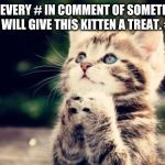 Example: hashtag Otter | FOR EVERY # IN COMMENT OF SOMETHING CUTE, YOU WILL GIVE THIS KITTEN A TREAT. #SPAM <3 | image tagged in cute kitten,love,cute animals,hashtags | made w/ Imgflip meme maker