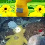 Teletubby before & after