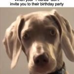 Offended dog | When your "Friends" don't invite you to their birthday party | image tagged in offended dog | made w/ Imgflip meme maker