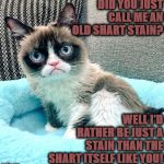 DID YOU JUST? | DID YOU JUST CALL ME AN OLD SHART STAIN? WELL I'D RATHER BE JUST A STAIN THAN THE SHART ITSELF LIKE YOU! | image tagged in did you just | made w/ Imgflip meme maker